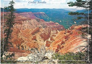 Cedar Breaks  60 Sq. Miles National Monument Utah 4 by 6