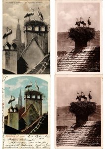 STORKS CIGOGNES Birds 500 Vintage Postcards Mostly pre-1940 (L2840)