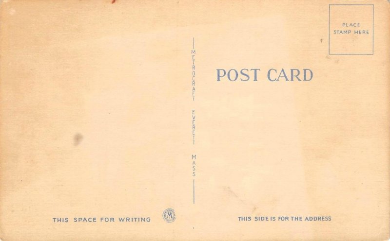 A Grand View Risque Comic Old Couple c1940s Linen Vintage Postcard 