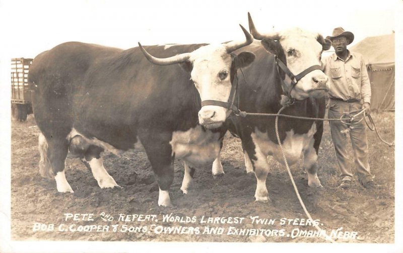 RPPC Twin Steers, Bob Cooper, Omaha, Nebraska Cowboy c1940s Vintage Postcard