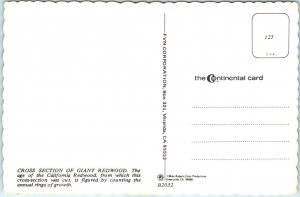 Postcard - Life Span of a Redwood - Cross Section of Giant Redwood, California