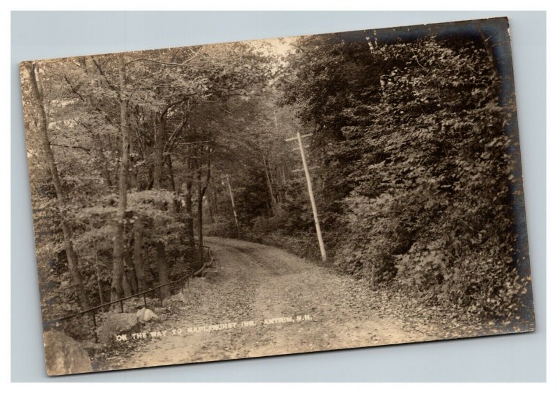 Vintage 1900's Photo Postcard Road to Maplehurst Inn Antrim New Hampshire