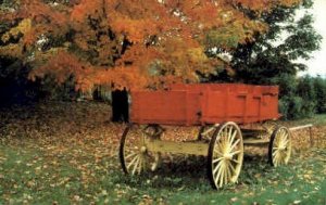 Autumn - Misc, Vermont VT Postcard