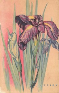 JAPAN 1930s Postcard Floral Flowers