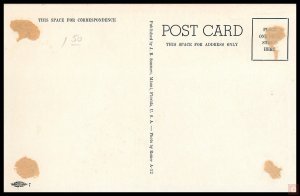 Flamingos at Hialeah Race Track, Miami, Fla