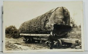 RPPC Washington Douglas Fir Log Men Posing w/ Huge Log on Railcar Postcard N16