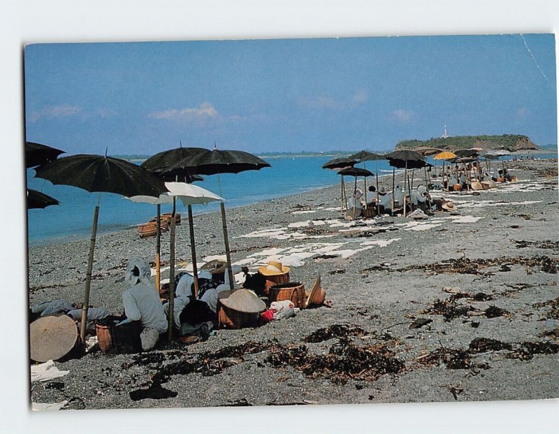 Postcard Women diver in Shima, Japan