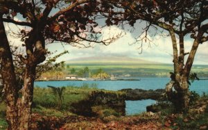 Vintage Postcard Mauna-Kea From The Shore Of Hilo Bay Hilo Hawaii Taylor Agency