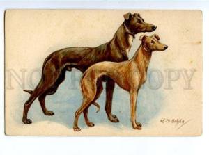 156509 HUNT Whippet GREYHOUND by HOLLYER Vintage PC