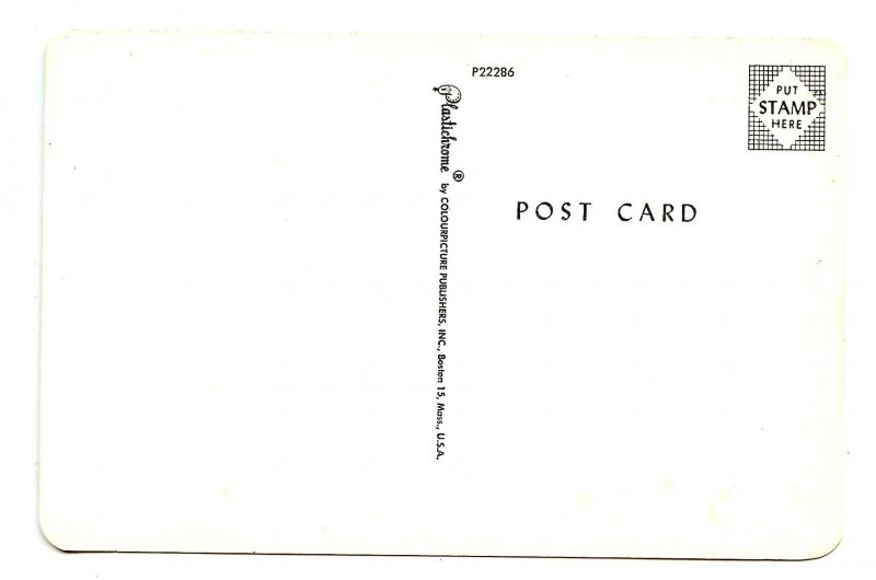 Humor - High, Wide & Handsome