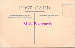 Devon Postcard - Rousdon From South East RS38923