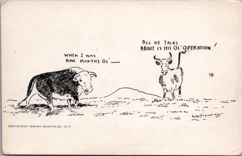 'When I was 9 Months Ol' Operation Bull Steer Humor WM Standing Art Postcard D40