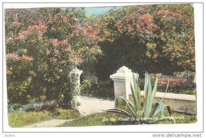 On the Road to Grasmere, Bermuda, 00-10s