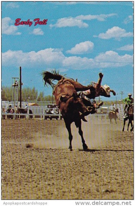 Wyoming Casper Rodeoing In Big Wonderful Wyoming Early Fall Proves Out His Na...