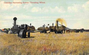 Steam Tractor Threshing Wheat Harvesting Farming Canada 1910c postcard