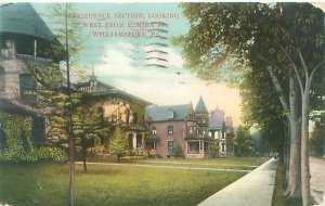 Williamsport PA Residence Section Looking West from Elmira St 1908 Postcard