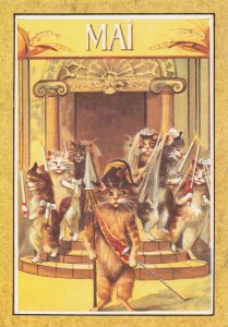 Mai Cats In Napoleon Bonaparte Military Calendar French Cat Postcard