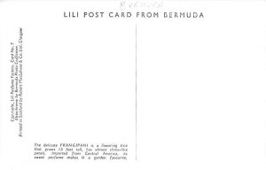 The Franipani Bermuda Postcard