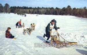 Sled Dog Racing In New England, USA Ski, Skiing Unused 