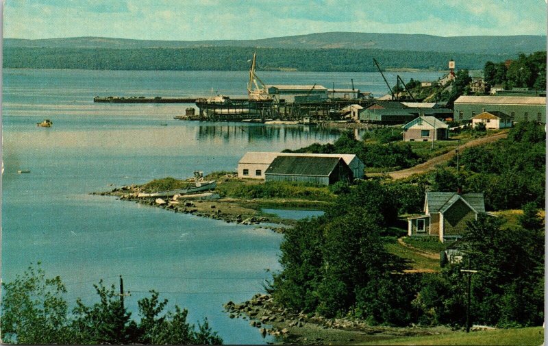 Pictou Waterfront Golf Course Overlook Nova Scotia Canada Chrome Postcard 