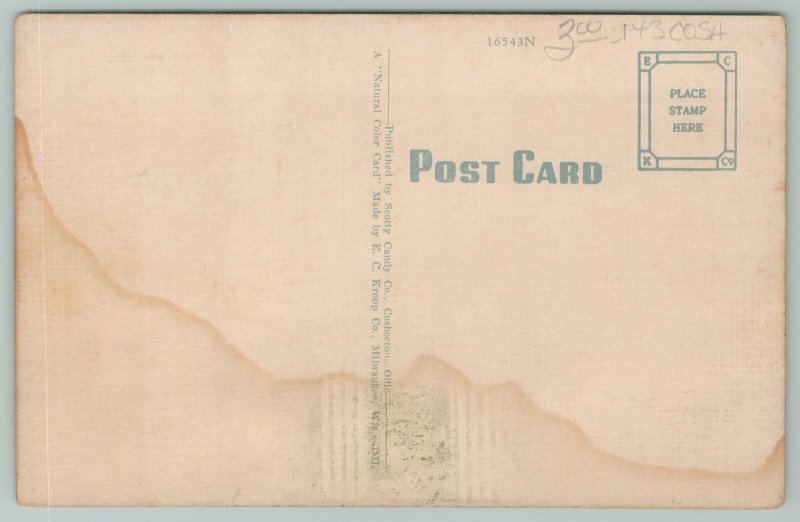 Coshocton Ohio~Coshocton High School~1940s Linen Postcard