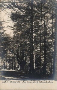 North Colebrook Connecticut CT Pine Grove Real Photo c1910 Postcard