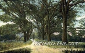 Hermitage - Savannah, Georgia GA  