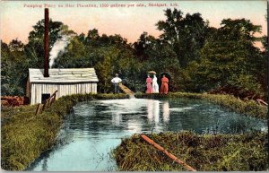 Antique Postcard Pumping Plant on Rice Plantation in Stuttgart, Arkansas KG6
