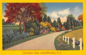 Allendale South Carolina Scenic Street View Greeting Antique Postcard K98560 