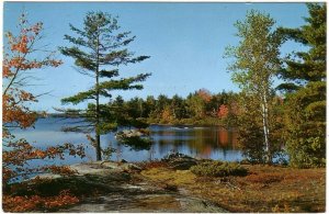 Autumn Scene In Canada, Vintage 1971 Chrome Postcard, Slogan Cancel H-686