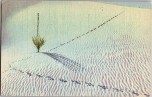 Ripples White Sands National Monument Alamogordo NM Vintage Linen Postcard T38