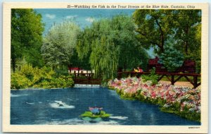 Postcard -Watching the Fish in the Trout Stream at the Blue Hole, Castalia, Ohio 