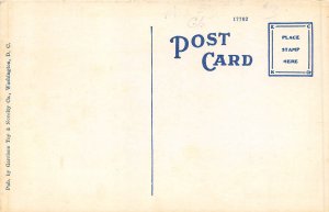 Washington DC 1920s Postcard New Masonic Temple