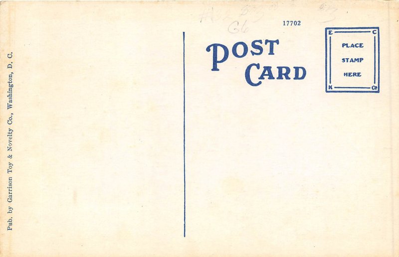 Washington DC 1920s Postcard New Masonic Temple