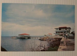 Vintage Postcard El Nuevo Paraiso Joyuda Puerto Rico ocean old car autos  725