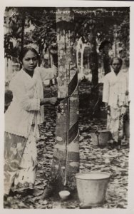 Malaya Rubber Tapping Singapore Real Photo Old Postcard