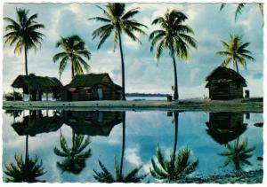 Anna or Ana Atoll Tuamotus Archipelago 1960s-70s Postcard French Polynesia #1