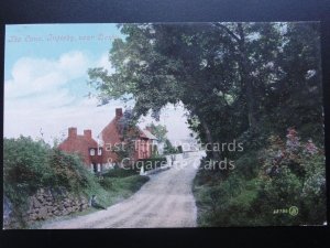 Derbyshire: Ingleby, The Lane c1905 - near Swarkestone
