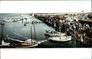 Coronado California Swimming Races Sailboats c1900-20s Vintage Postcard