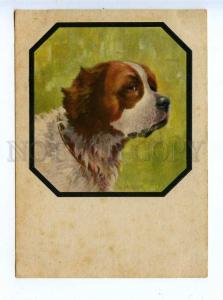 195805 GERMANY SAINT BERNARD dog by MERKER Vintage postcard