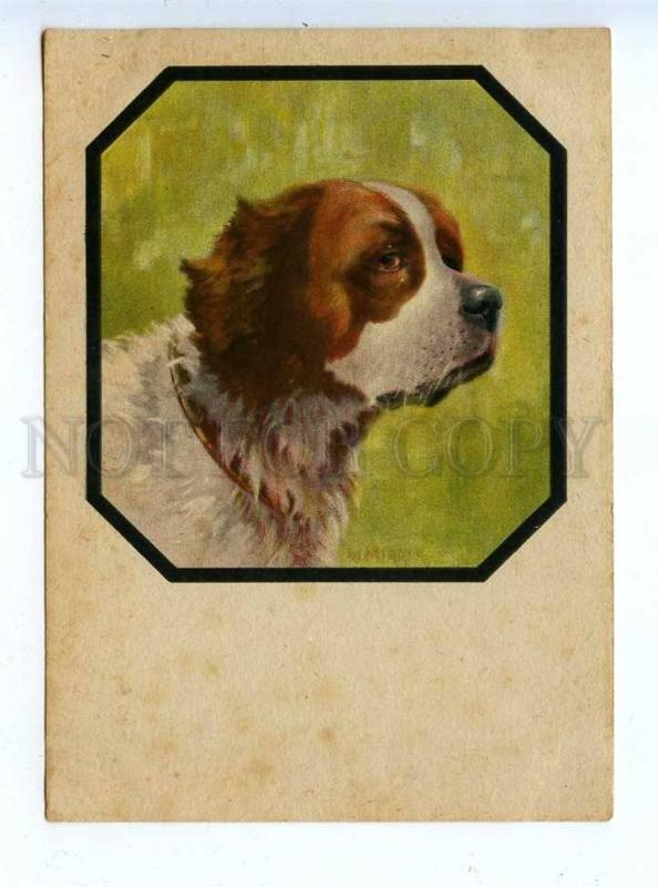 195805 GERMANY SAINT BERNARD dog by MERKER Vintage postcard