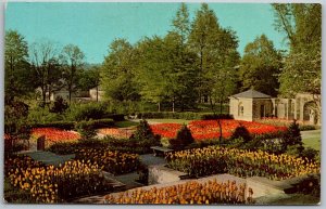 Mansfield Ohio 1960s Postcard Kingwood Center Tulip Garden