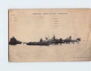Postcard Débarquement, Récolte du Varech, Gouville, France