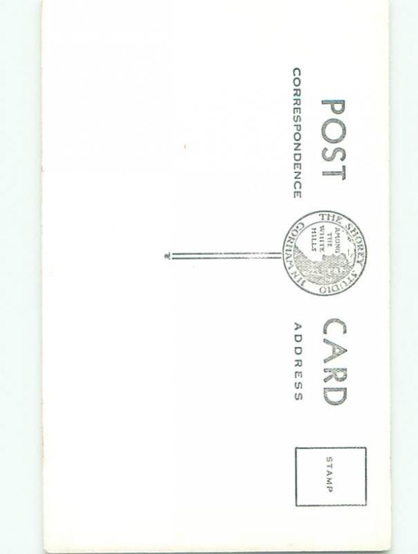 Old rppc NATURE SCENE Great Postcard AB0707