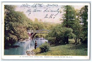 1904 Scenic View Rustic Bridge River Central Park New York NY Antique Postcard