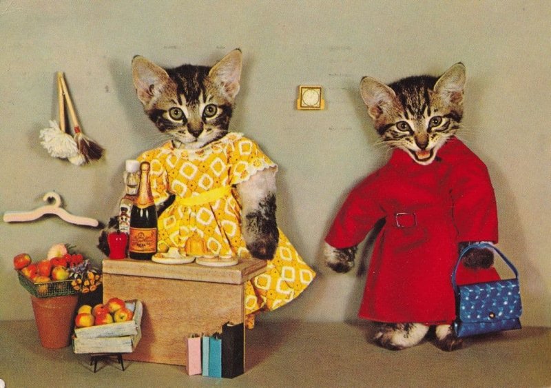 Cats Serving Food & Cocktails Real Photo Postcard