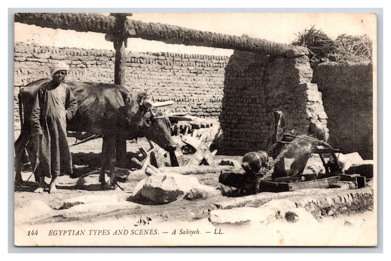 Egypt Egyptian Types And Scenes A Sakiyeh Egypt DB Postcard Y11