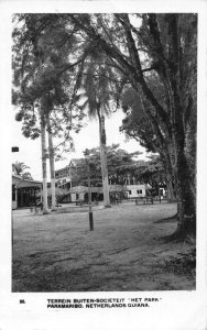 Paramaribo Suriname Netherlands Guiana Het Park Real Photo Postcard AA48706