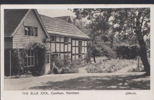 Sussex Postcard - The Blue Idol, Coolham, Horsham    S598