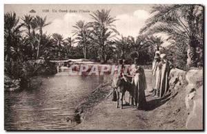 Old Postcard A wadi in & # 39oasis Donkey Donkey